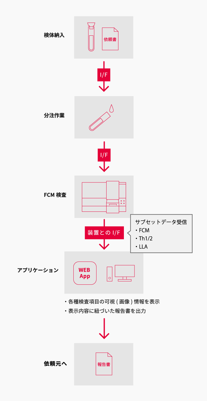 システム概要